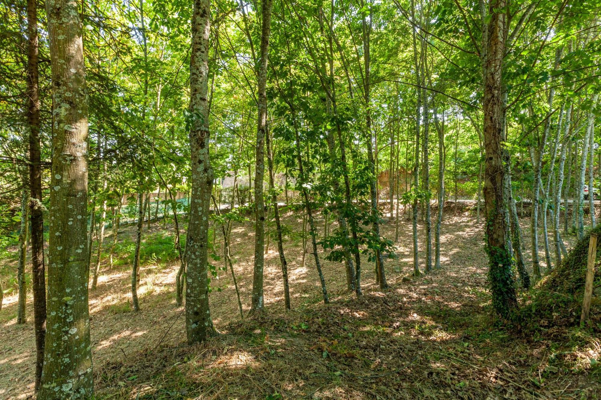 Villas Prendal Eco Living - Minho'S Guest Гимарайнш Экстерьер фото