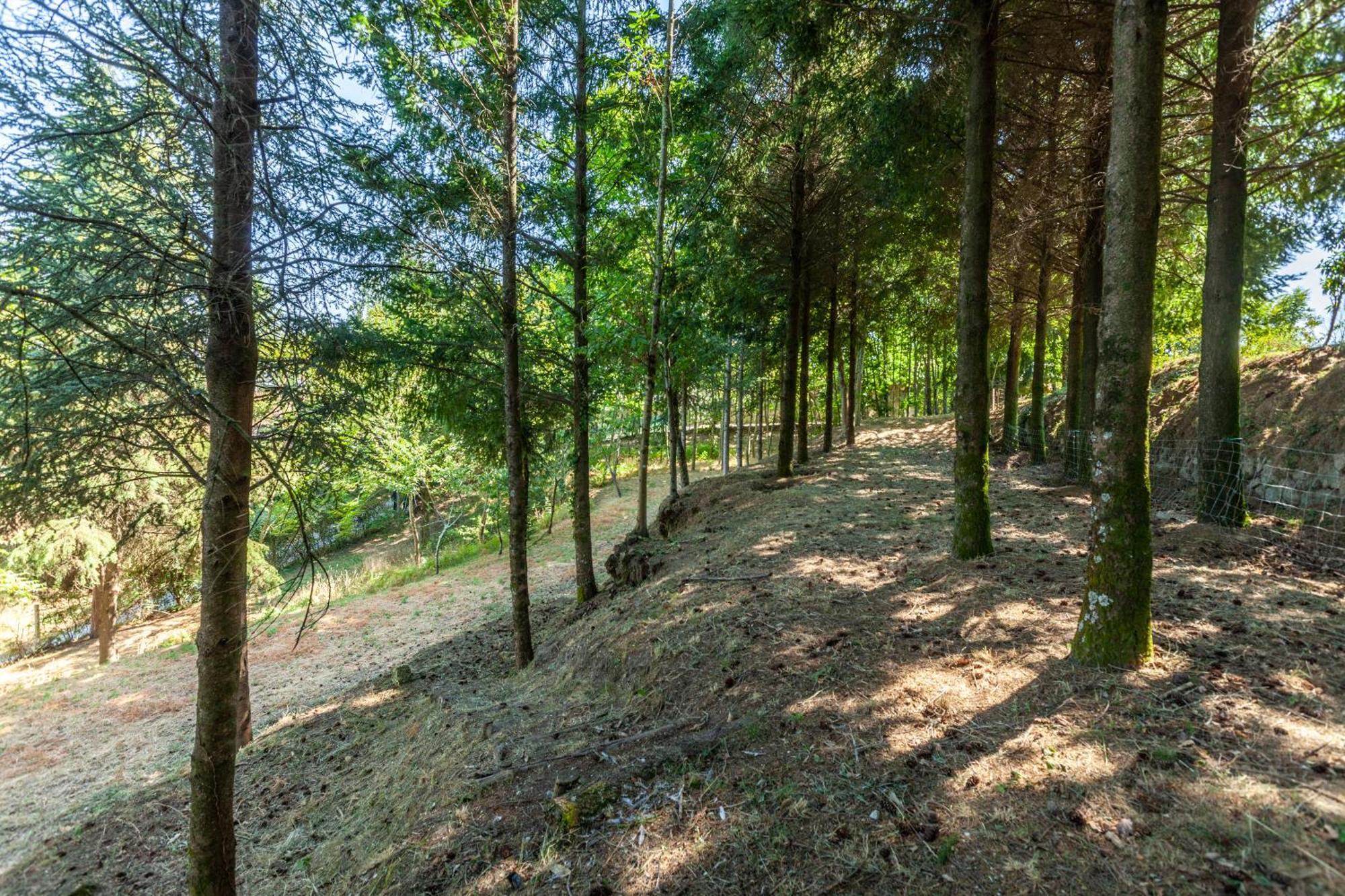 Villas Prendal Eco Living - Minho'S Guest Гимарайнш Экстерьер фото