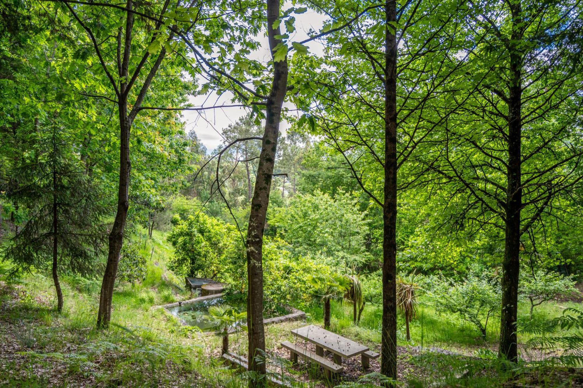 Villas Prendal Eco Living - Minho'S Guest Гимарайнш Экстерьер фото